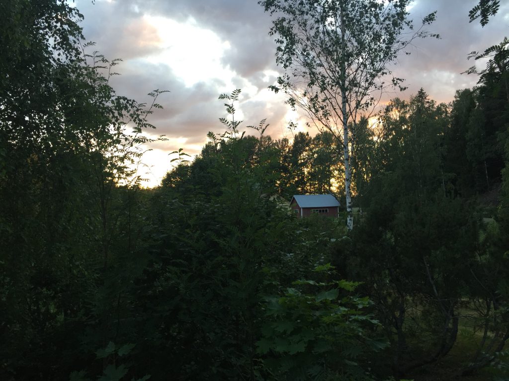 Hermoso paisaje de un bosque frondoso con una casa aislada rodeada de árboles verdes.